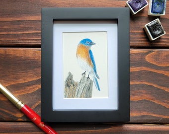 Mini Eastern Bluebird Watercolor Painting