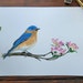 see more listings in the Watercolor Prints section