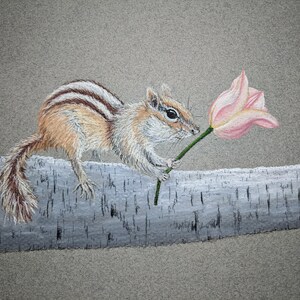 Chipmunk Pastel Drawing, Original Chipmunk Art, Small Animal Decor, Chipmunk Holding Tulip image 4