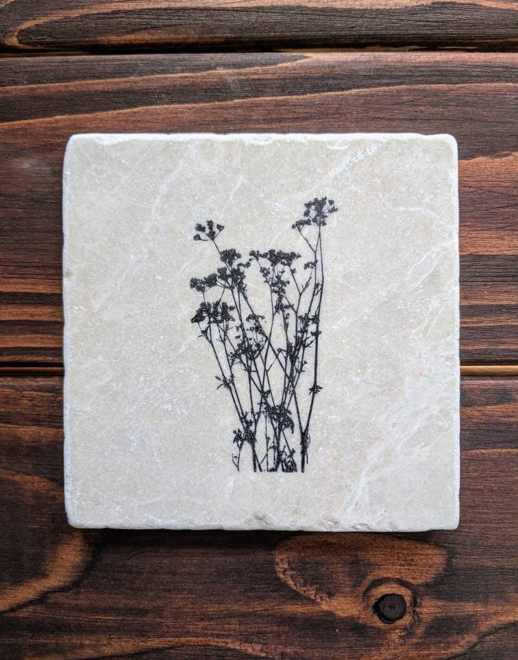 Field Plants Stone Coaster Set Plant Coasters Dandelions Etsy