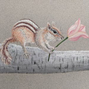 Chipmunk Pastel Drawing, Original Chipmunk Art, Small Animal Decor, Chipmunk Holding Tulip image 1