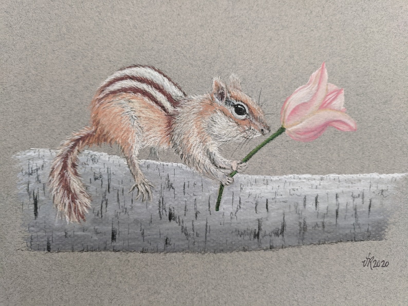 Chipmunk Pastel Drawing, Original Chipmunk Art, Small Animal Decor, Chipmunk Holding Tulip image 1