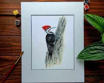 Woodpecker Watercolor Print, Pileated Woodpecker Painting, Limited Edition