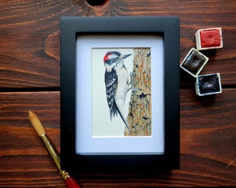 Mini Downy Woodpecker Watercolor Painting, Original Watercolor Painting