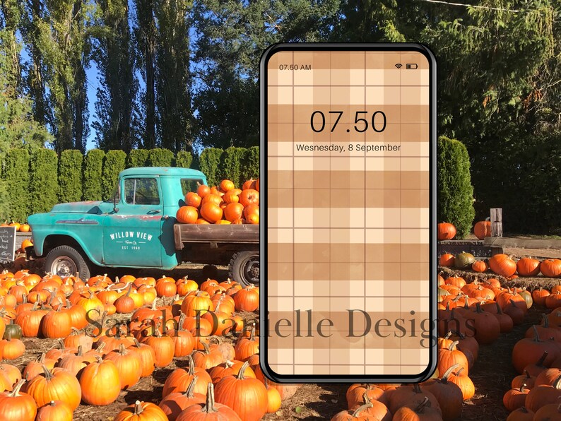 May include: A teal blue pickup truck with the words "Willow View Est 1988" on the side is parked in a field of orange pumpkins. A smartphone with a brown and white plaid background shows the time 07:50 and the date Wednesday, 8 September.
