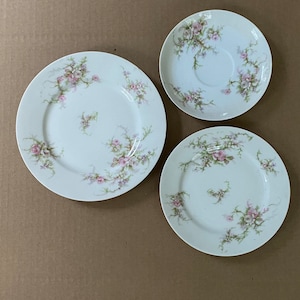 Theadore Haviland Limoges France Plates