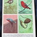 see more listings in the Animal & Insect Prints section