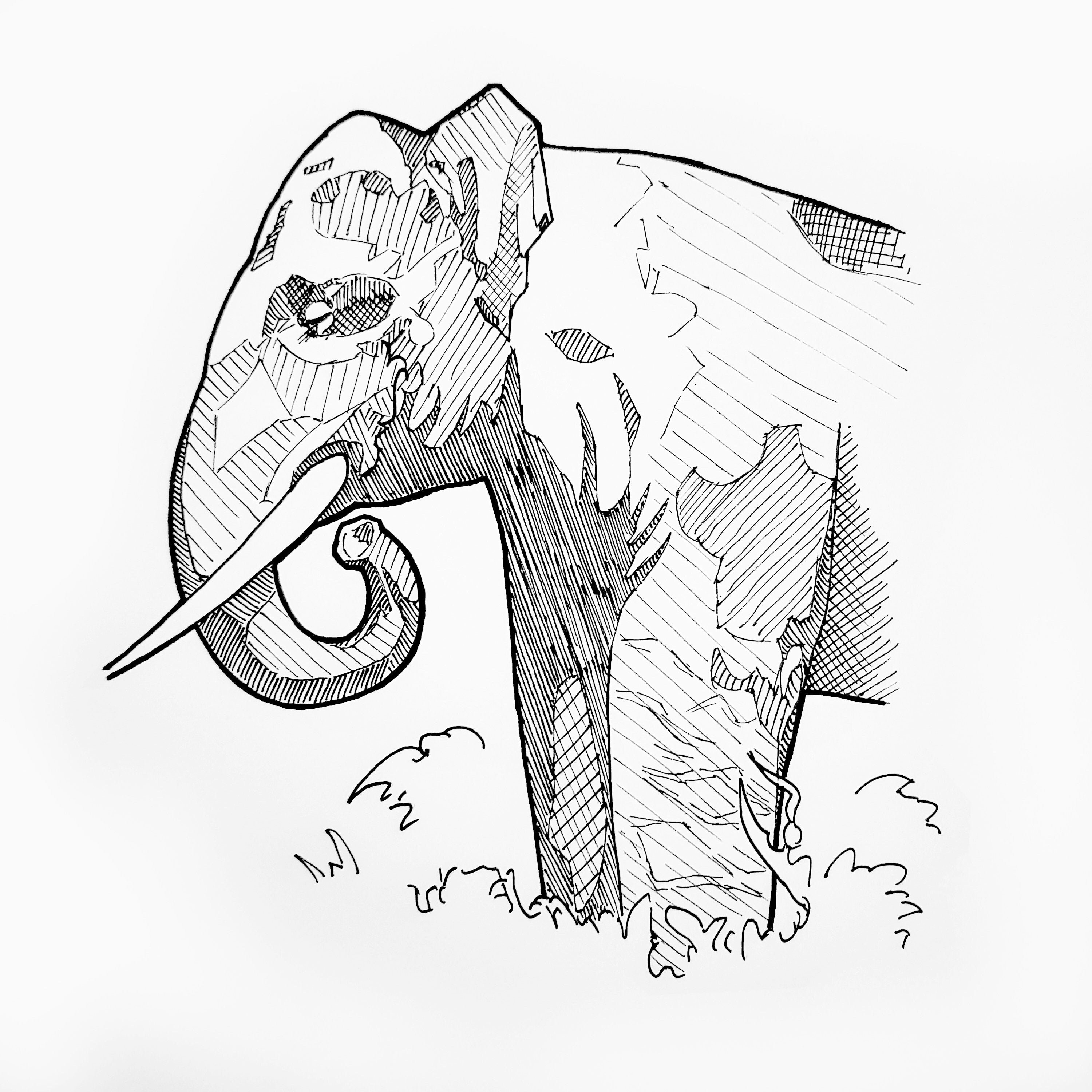 Sumatran Elephant Traditional Illustration Fundraiser - Etsy
