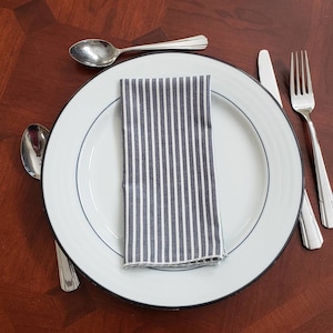 Fabric Napkins, Cloth Napkins, Reusable Napkins, Cloth Liners, Striped Napkins, Serged Napkins, Set of 4 Napkins, Blue and White Napkins