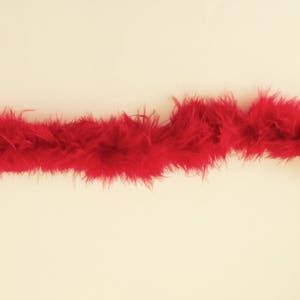 Rote Federschnur mit einer Breite von ca. 4 cm