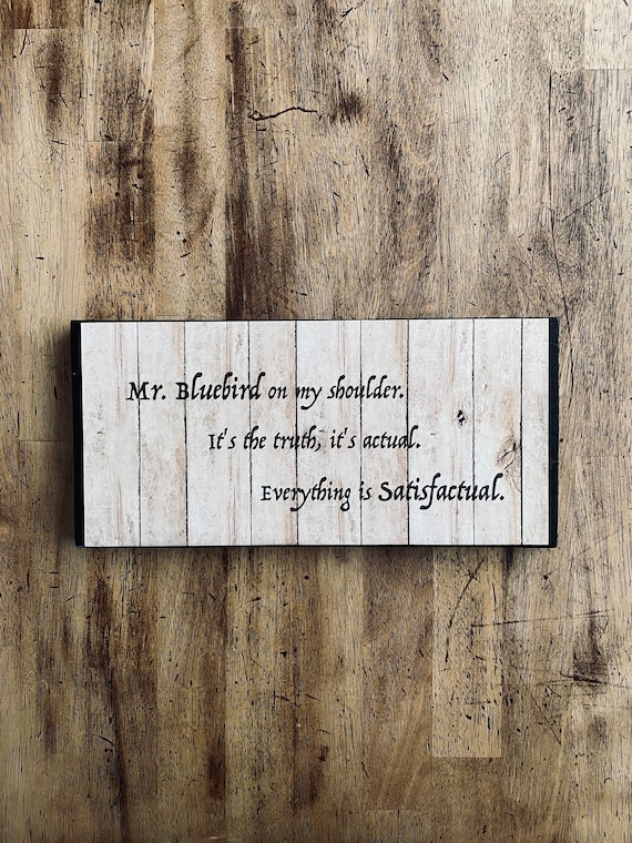 Splash Mountain Disneyland Disney World Ride Home Decor Sign