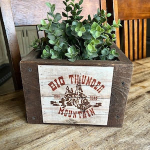 Puede incluir: Una maceta de madera con fondo blanco y letras marrones que dicen "Big Thunder Mountain Rail Road". La maceta está llena de plantas verdes de hoja.