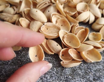Pistachio Shells for crafting