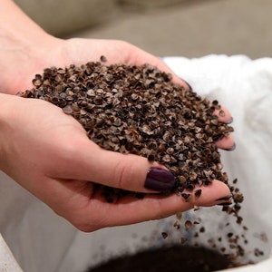 Organic Buckwheat Hulls: Vegan Filling for Toys, Cushions (0.88lb)
