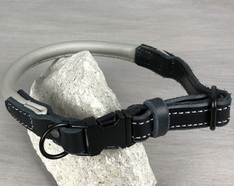 gray dog collar