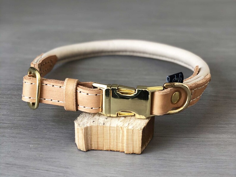 Rolled Leather Quick Release Dog Collar Solid Brass Hardware Etsy