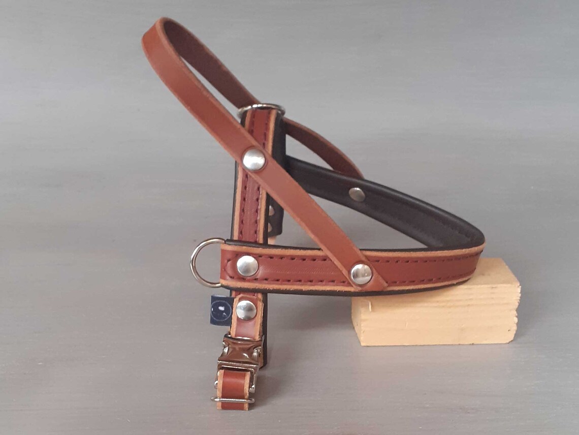 Dog Harness in Papaya Leather Soft and Adjustable Etsy