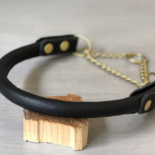 Rolled Leather Martingale Dog Collar With Chain Etsy