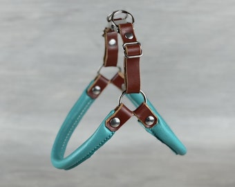 Rolled Leather Step In Dog Harness in Papaya and Teal, Rolled Leather Harness, Adjustable Harness for Small Dogs, No Pull Dog Harness