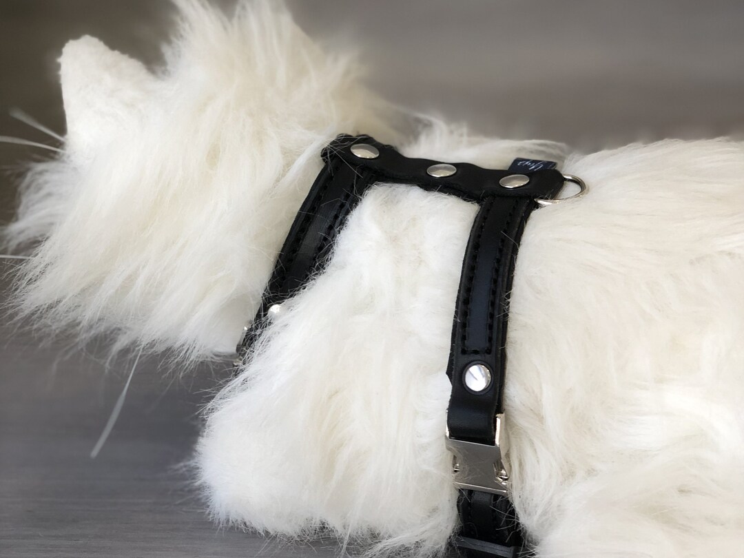 Cat Harness in Black Leather Soft Padded Cat Harness Etsy