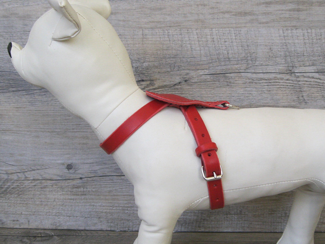 Red Dog Harness Comfort Leather Dog Harness Heartshaped Dog Etsy