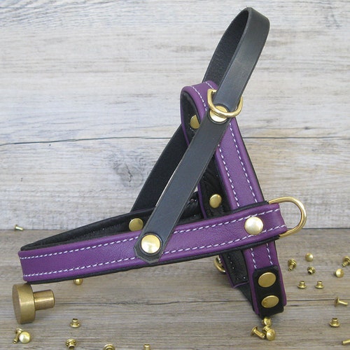 Dog Harness in Brown Leather Soft and Adjustable Customizable Etsy