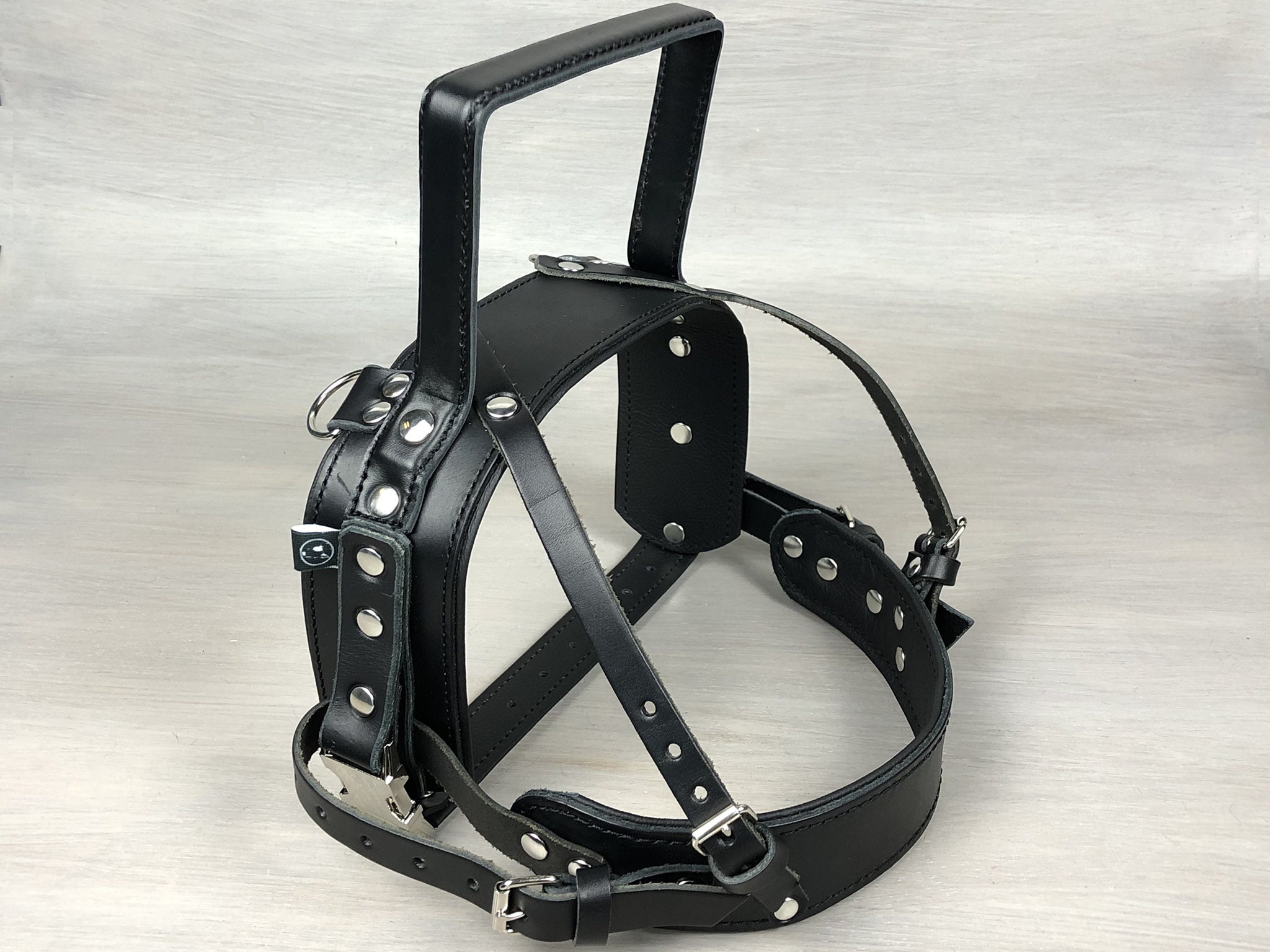 brace and mobility support harnesses