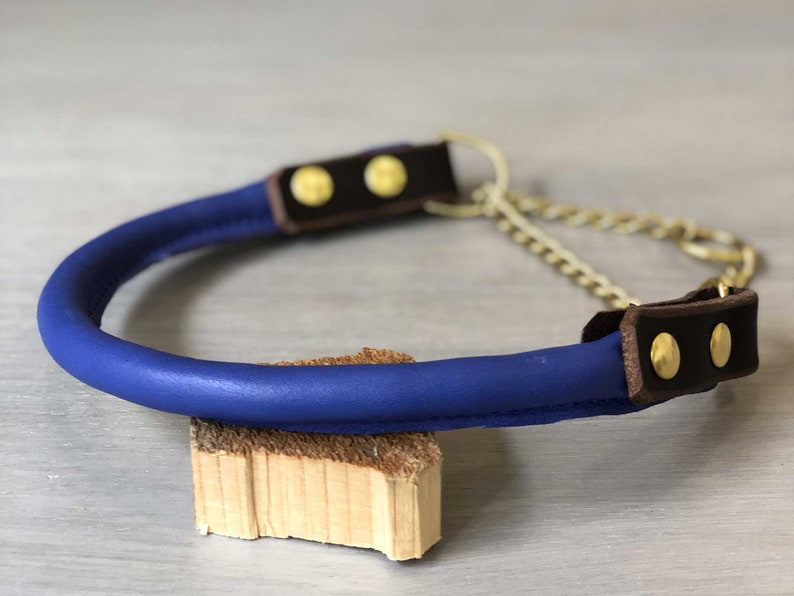 Rolled Leather Martingale Dog Collar Solid Brass Hardware Etsy Australia