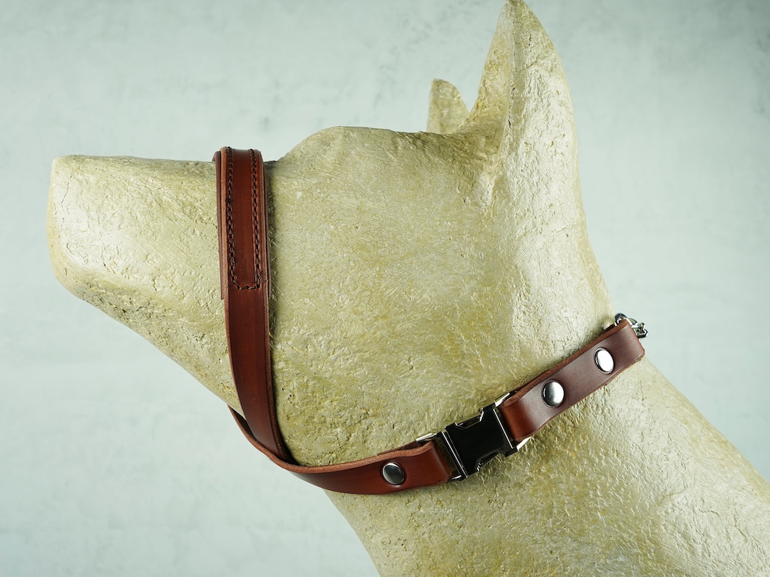 Papaya Padded Leather Dog Gentle Leader With Martingale Chain, Dog Head