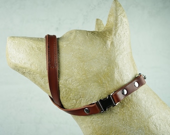 Papaya Padded Leather Dog Gentle Leader with Martingale Chain, Dog Head Halter, No Pull Dog Collar, Training Head Collar