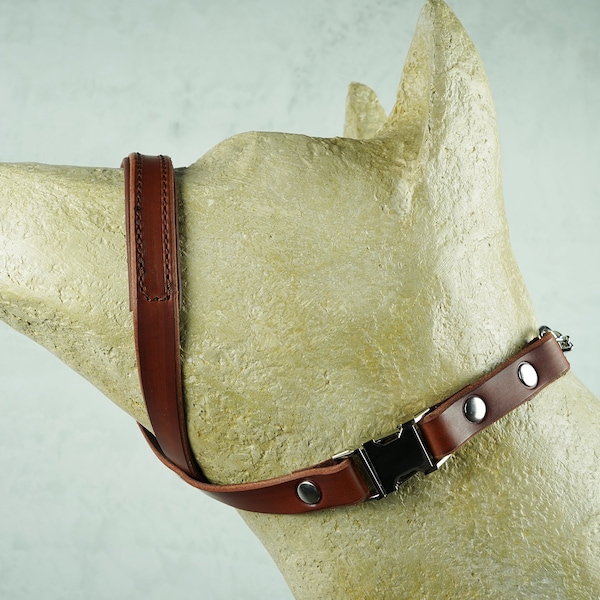 Papaya Padded Leather Dog Gentle Leader with Martingale Chain, Dog Head Halter, No Pull Dog Collar, Training Head Collar