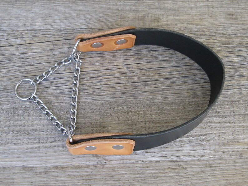 Martingale Dog Collar Half Choke Dog Collar Black Leather Etsy