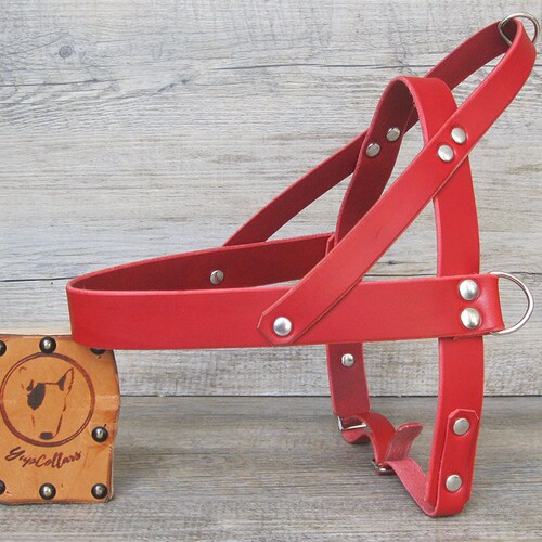 Red Leather Dog Harness Adjustable for Small and Large Dogs Etsy