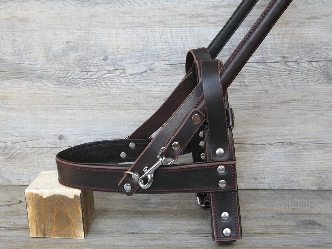 Service Dog Harness Guide Dog Harness Custom Assistance Dog Etsy