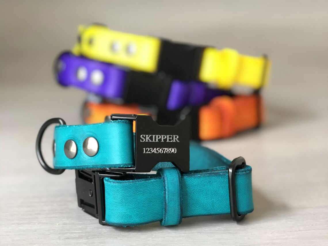 Engraved Buckle Leather Dog Collar 4 Leather Colors Quick Etsy