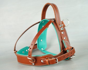 buffalo check dog harness