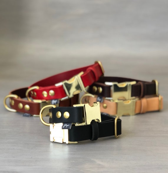 Black Leather Dog Collar With Brass Hardware And Quick Release - Quick Release Leather Dog Collar Black Leather Dog Collar With Brass Hardware And Quick Release - Quick Release Leather Dog Collar