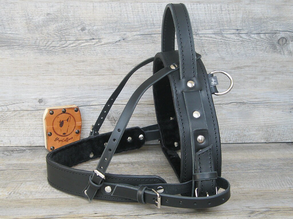 Service Dog Harness, Black Leather Service Harness, Full Adjustable
