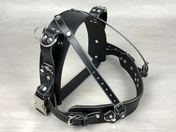 yup dog harness