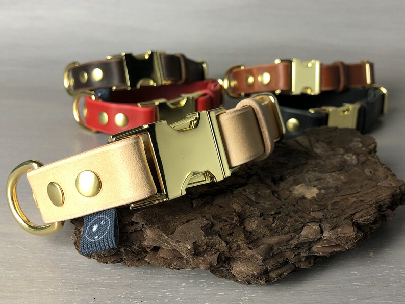 Leather Dog Collar Quick Release Dog Collar Optional FREE ID Etsy