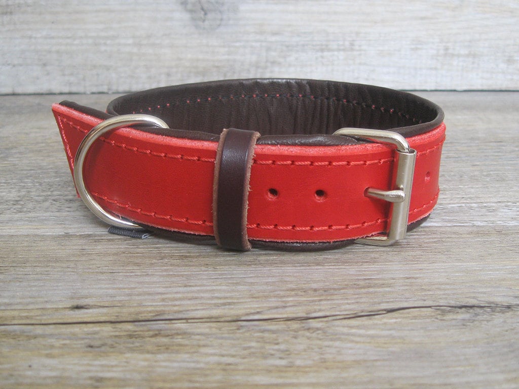 Padded Red Leather Dog Collar Ideal for Medium and Large Breeds