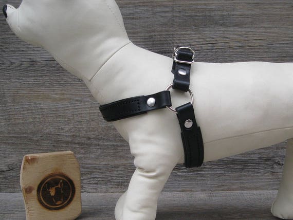Step In Dog Harness for Small Dogs, Black Leather No Pull Harness, Comfort and Adjustable Soft Padded Dog Harness, Handmade Dog Harness