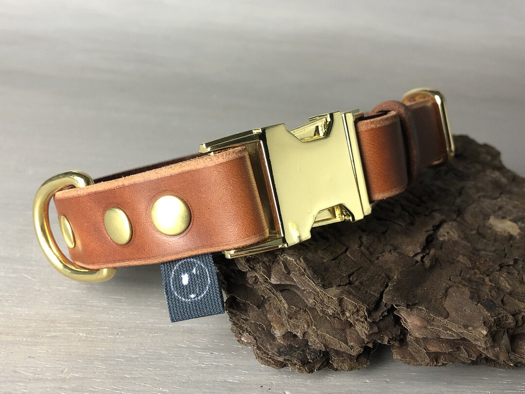 Papaya Leather Dog Collar With Quick Release Brass Hardware Etsy