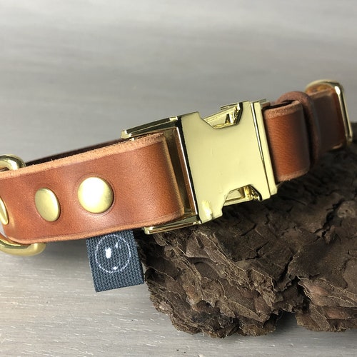 Quick Release Dog Collar in Pink Leather and Silver Hardware Etsy