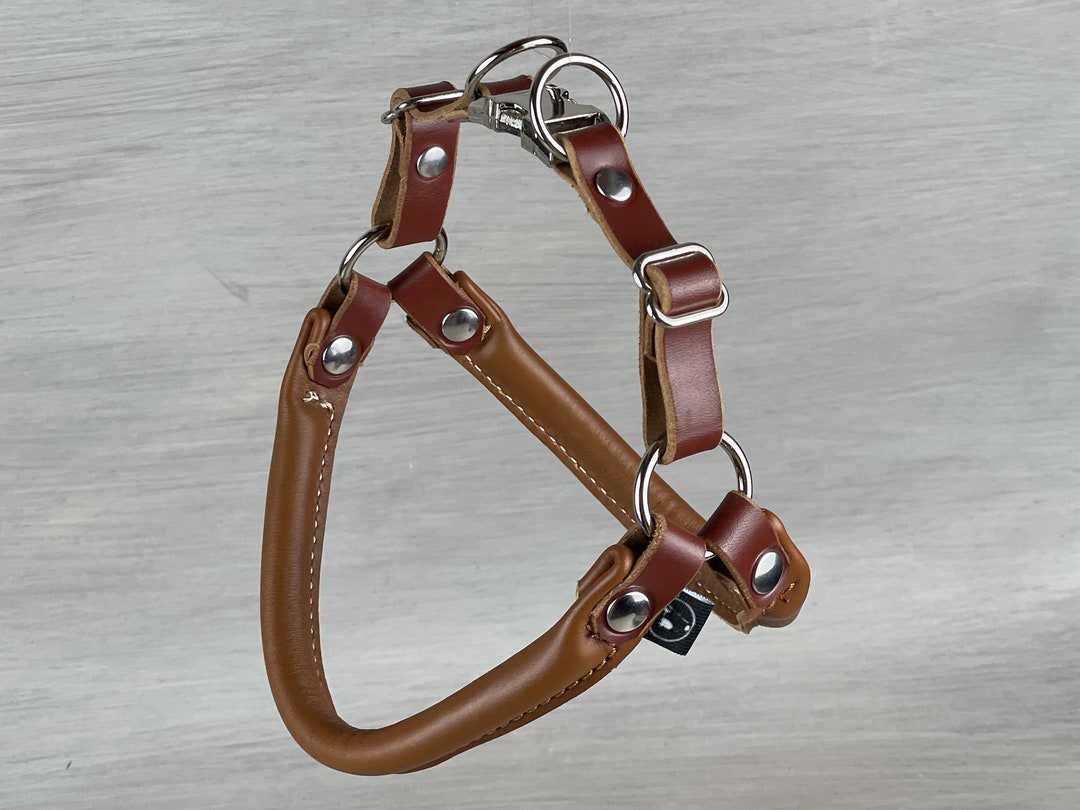 Papaya Rolled Leather Step in Dog Harness, Rolled Leather Harness