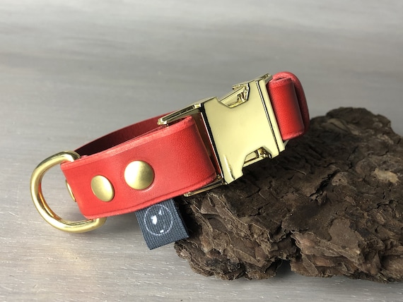 Bonjour Designer Dog Collar And Leash