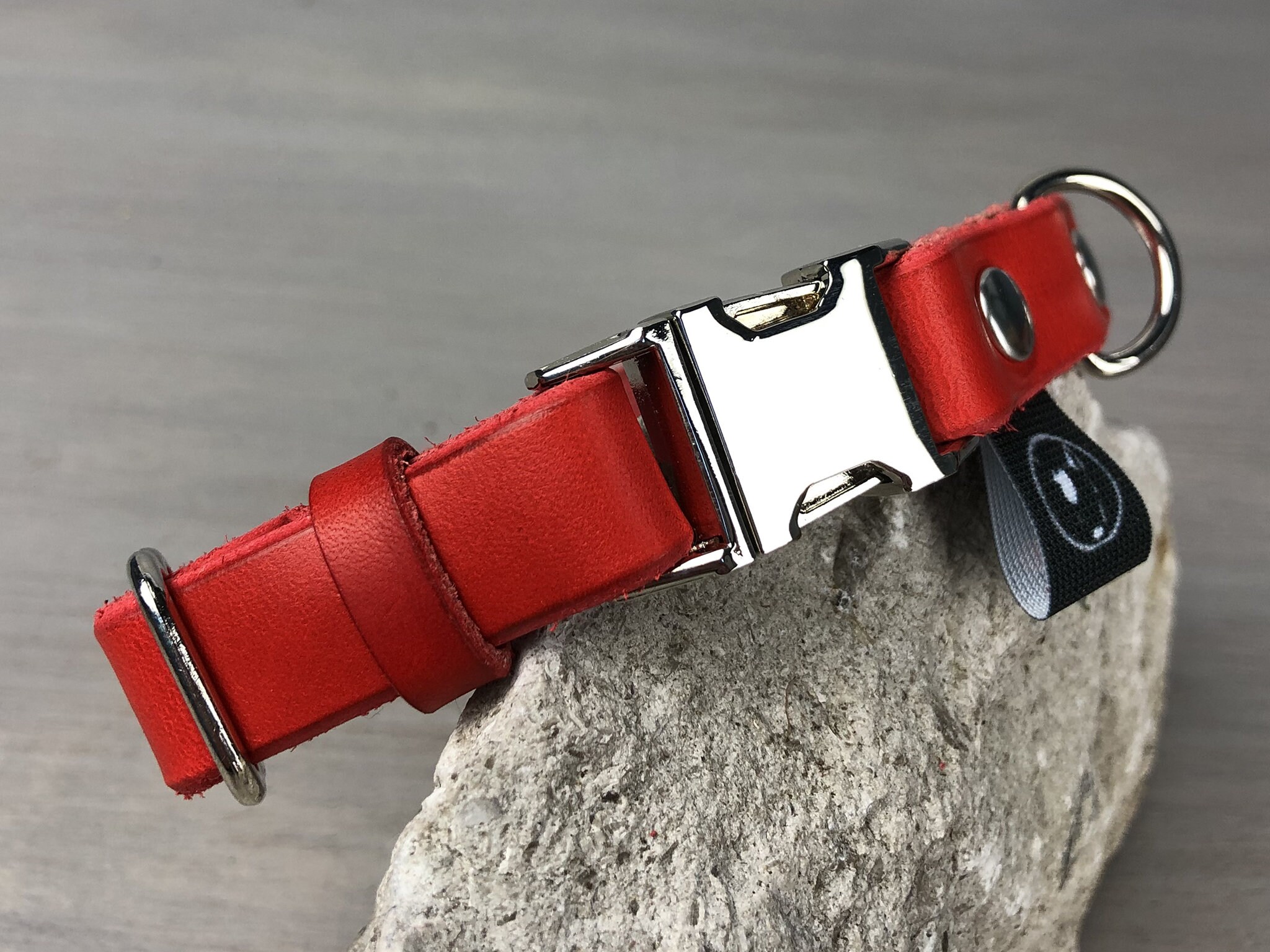 quick release dog collar