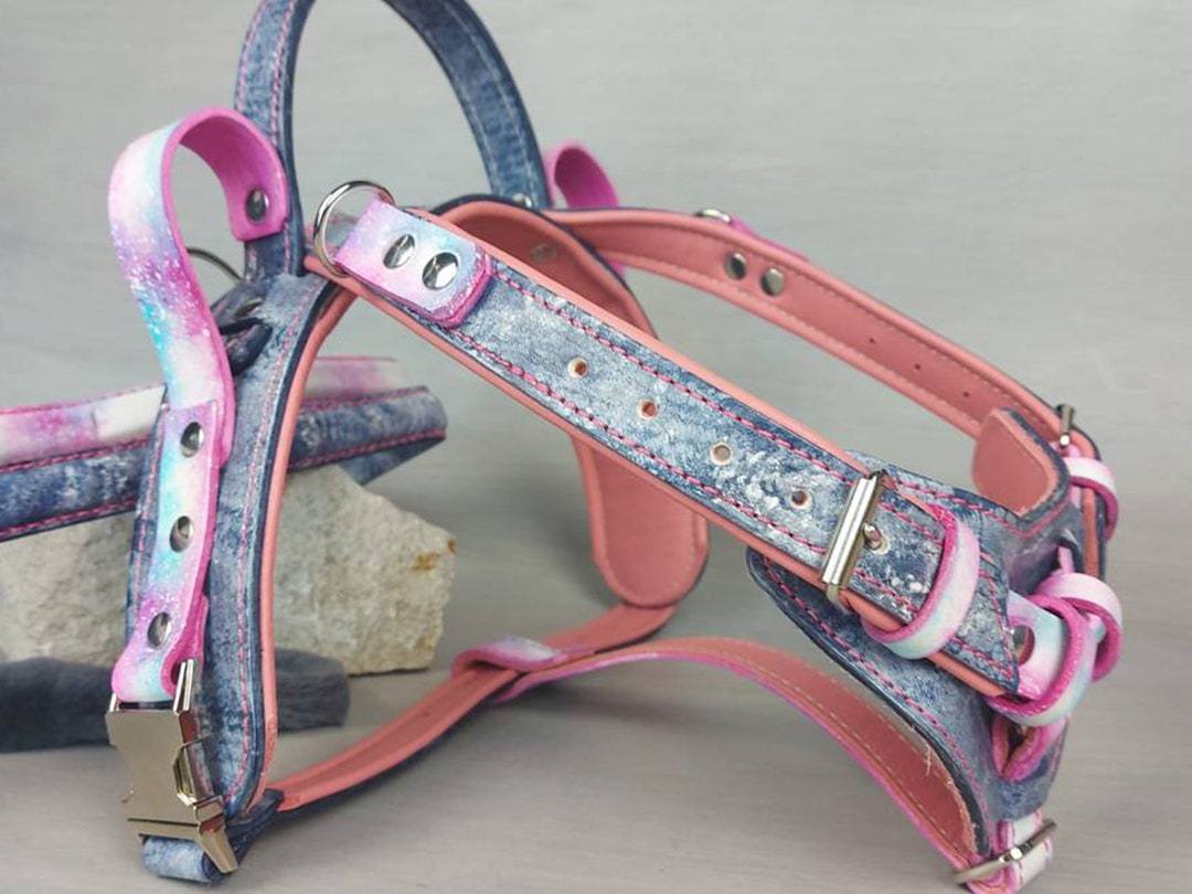 Fully Custom Leather Dog Harness, Y Front Harness, Fixed Semirigid Handle, Full Adjustable