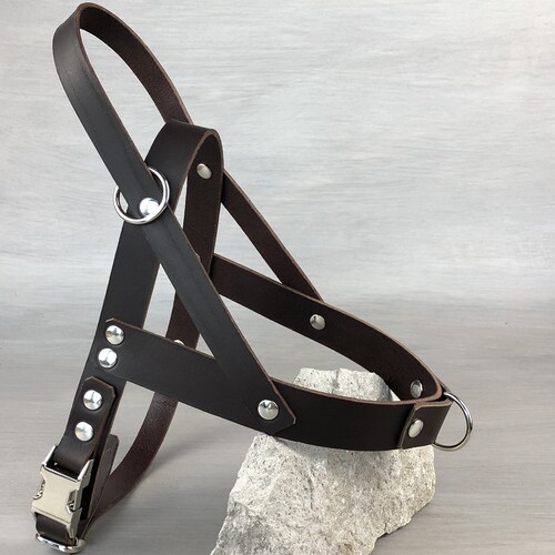 Dog Harness in Papaya Leather Soft and Adjustable Etsy