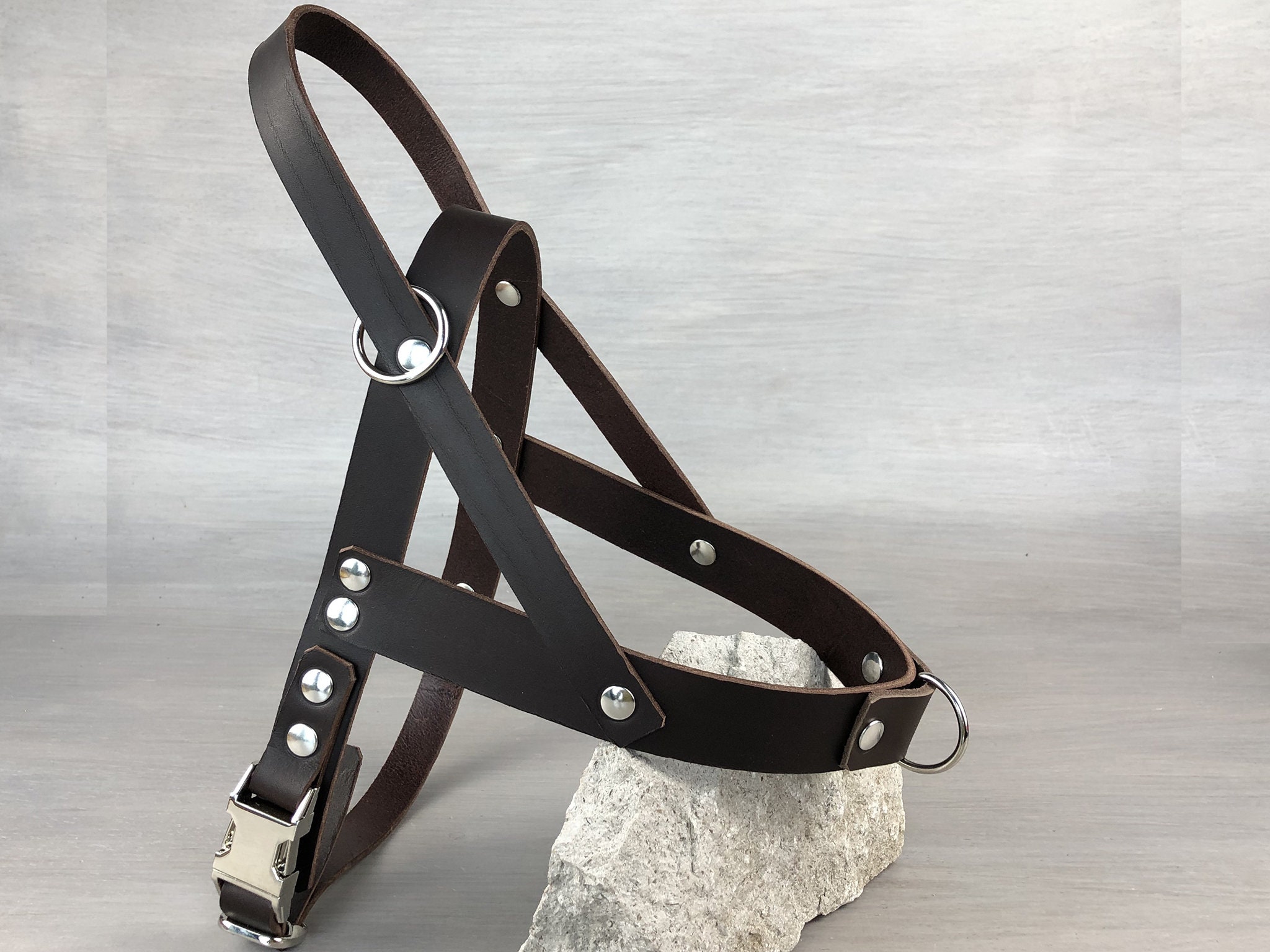 front and back harness